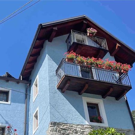 Casa Del Cios Calda E Intima Casetta Immersa Nel Verde Delle Montagne Alpe Basciumo Exterior foto