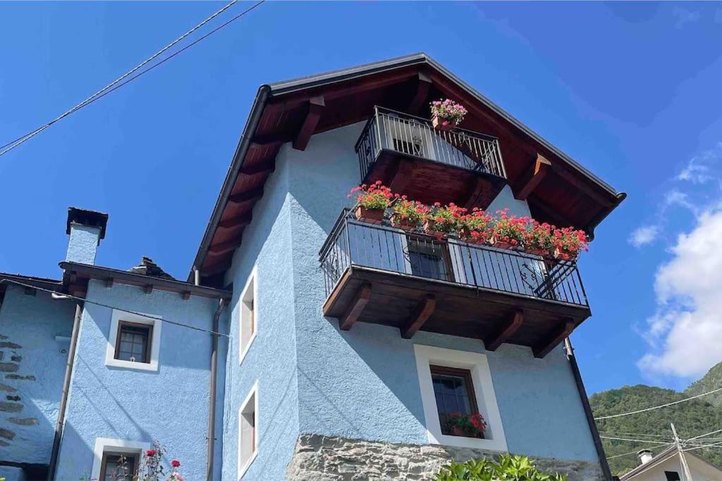 Casa Del Cios Calda E Intima Casetta Immersa Nel Verde Delle Montagne Alpe Basciumo Exterior foto